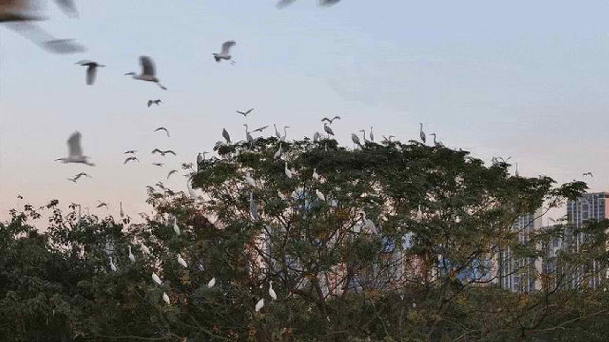 图片 13